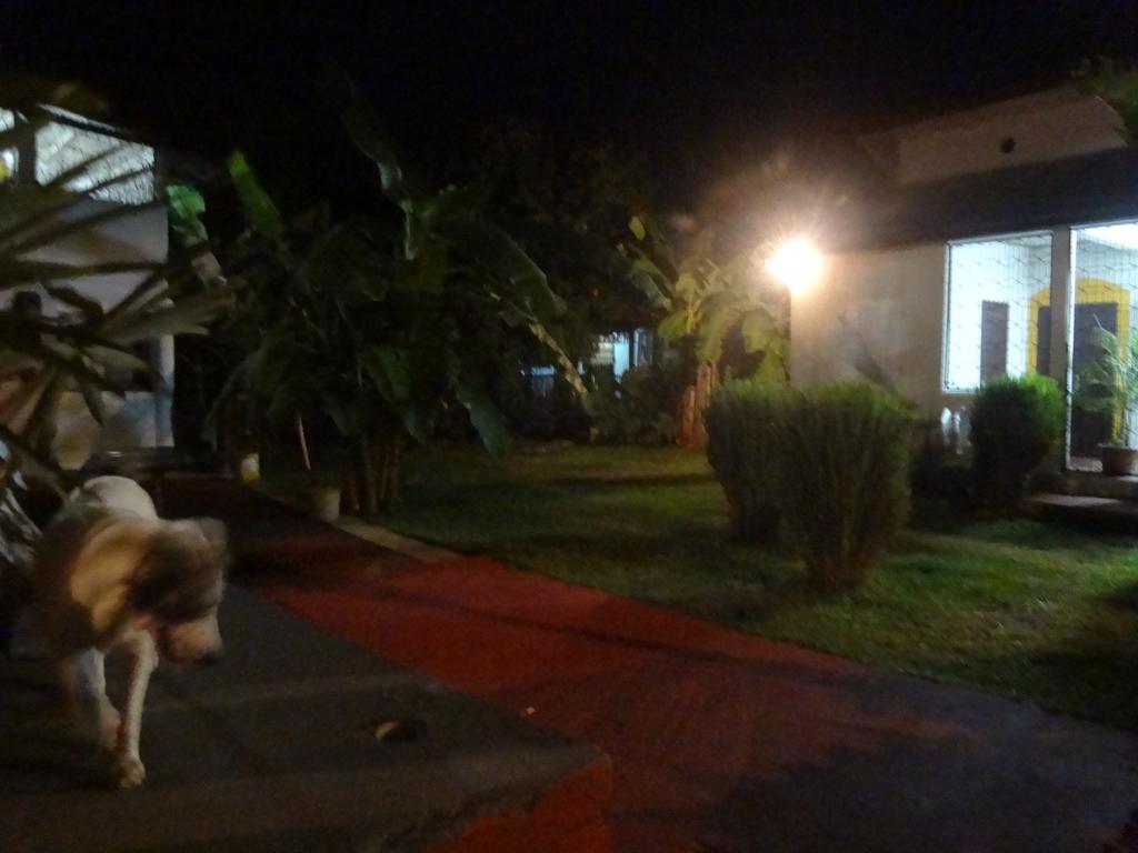 Home Sakalava Hell-Ville Exterior photo